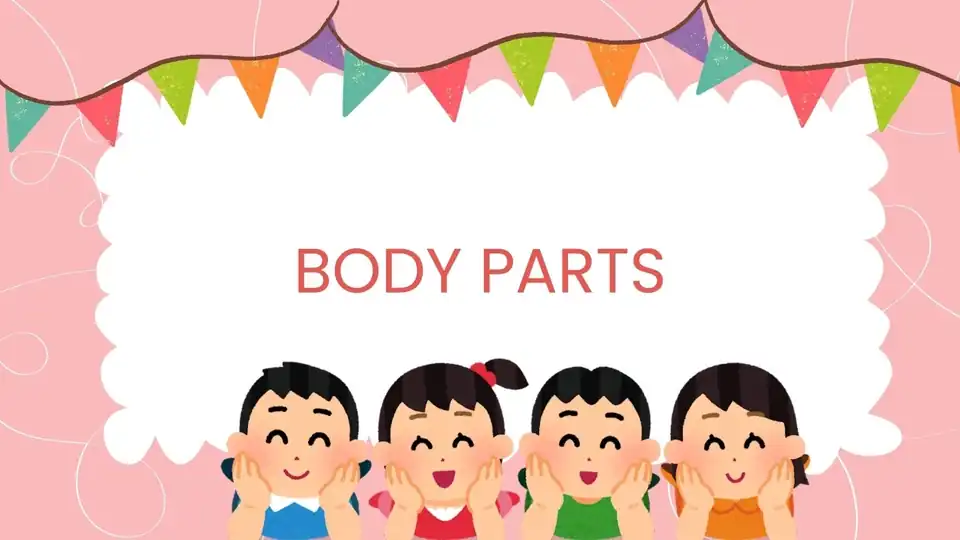 Jasa Body parts - Presentasi, Profesional, Bergaransi