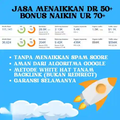 Asli Jasa Menaikkan Dr 50 Domain Rating Bonus Ur 70
