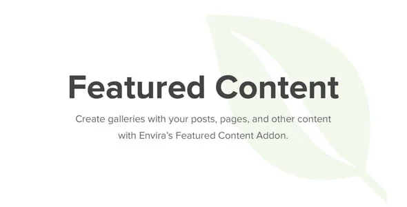 Jual Envira Gallery Featured Content 1.2.8 Bergaransi, Profesional