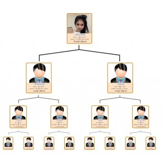 Jual Pembuatan Website MLM sistem binary Original, Bergaransi