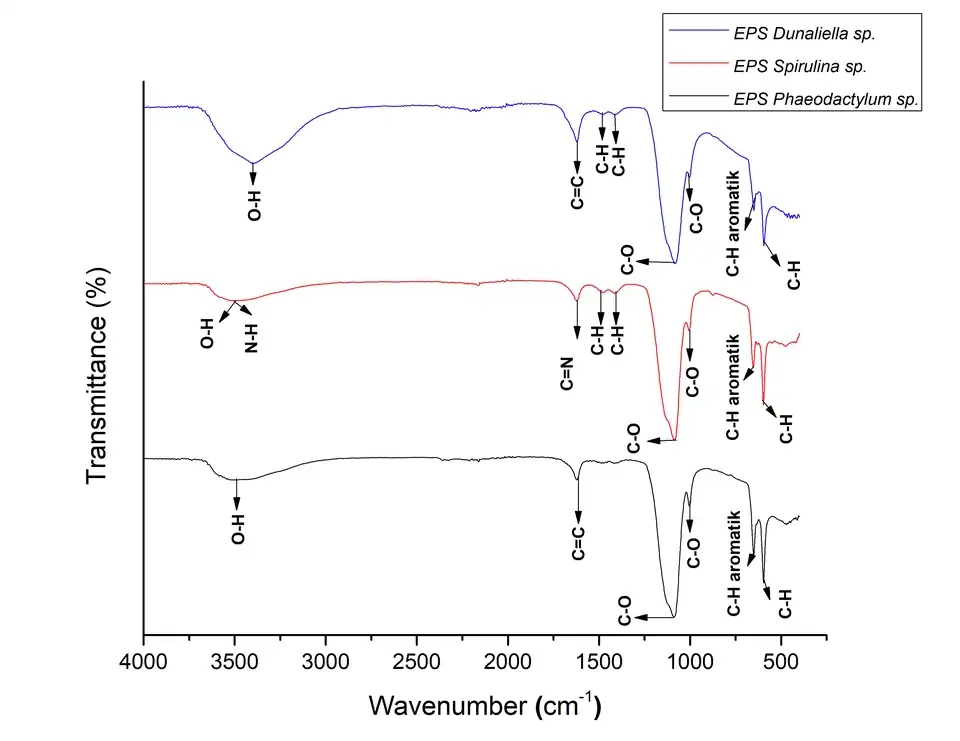 Jasa Analisis Data FTIR - Analisis Data, Profesional, Bergaransi