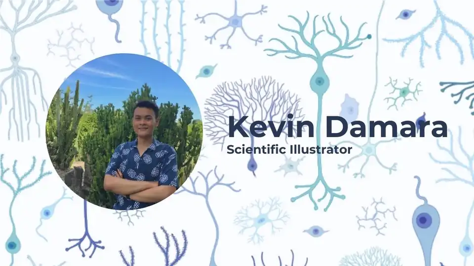 Jasa Desain Ilustrator Saintifik - Gambar dan Ilustrasi, Profesional, Bergaransi