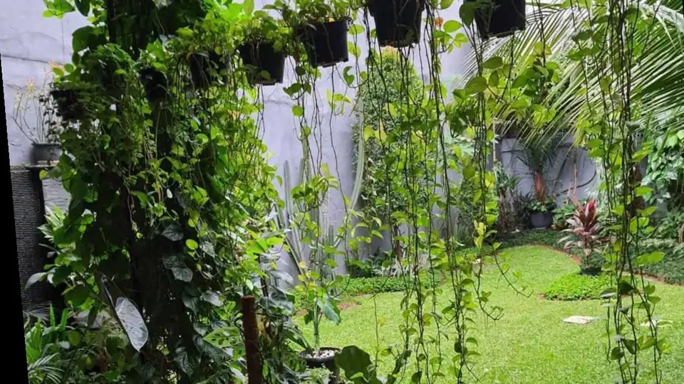Jasa desain landscape taman dan outdoor - Landscape dan Taman, Profesional, Bergaransi