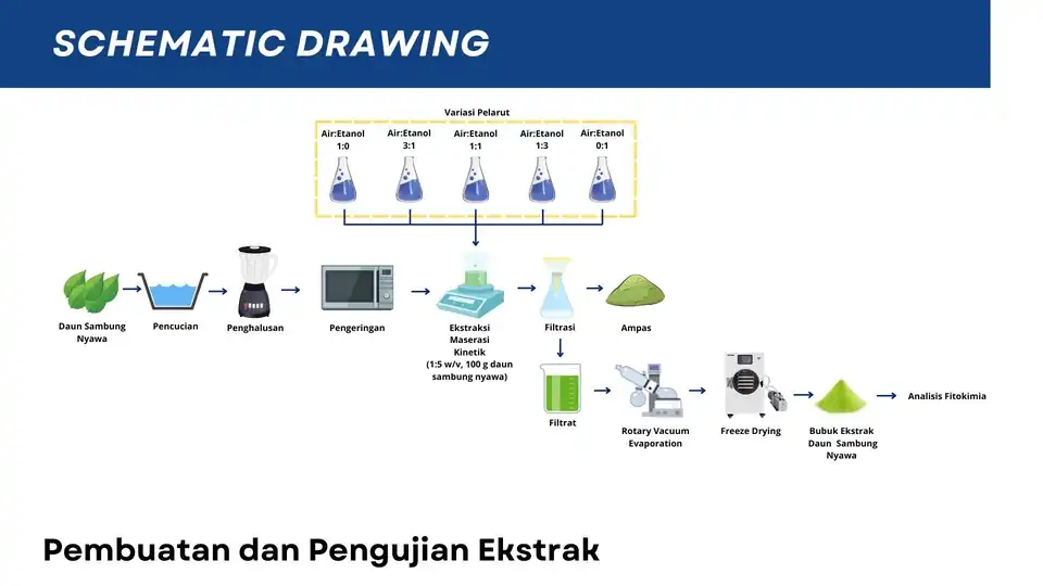 Jasa Pembuatan Block Flow Diagram dan Schematic Drawing untuk Proses Produksi/Alur Kerja/Bisnis - Flowchart, Profesional