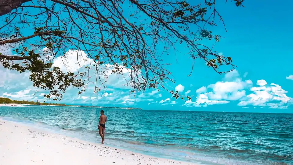 Jasa Review biaya Traveling - Travelling, Profesional, Bergaransi