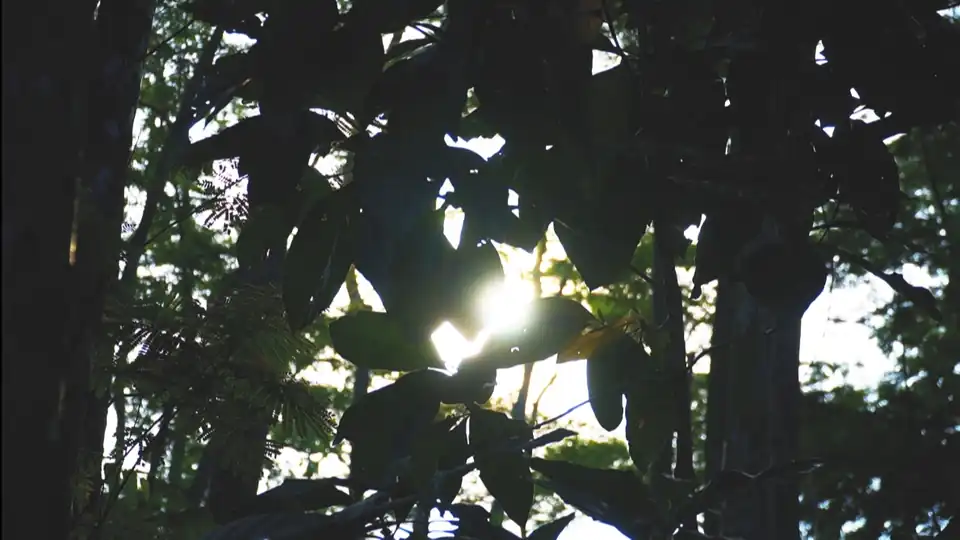 Jasa Video Produk / Company Profile / New Protocol Cinematic JAKARTA TANGERANG - Produksi Video, Profesional, Bergaransi
